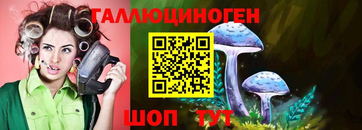Псилоцибиновые грибы GOLDEN TEACHER  Вход с VPN  Алушта 