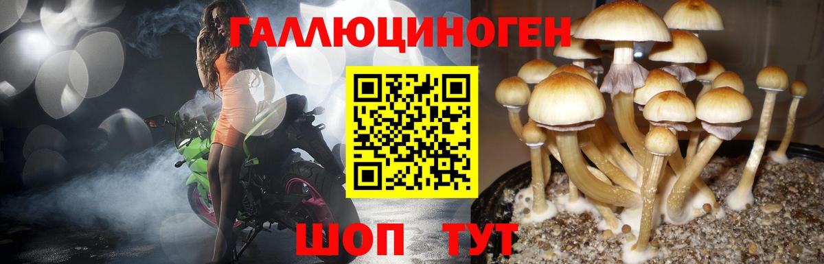 Галлюциногенные грибы Magic Shrooms Алушта